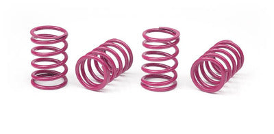 XRAY SPRING-SET D=1.8 (33 LB) PURPLE - MEDIUM-HARD (4) --- Replaced with #348283 - RC Hobby Product