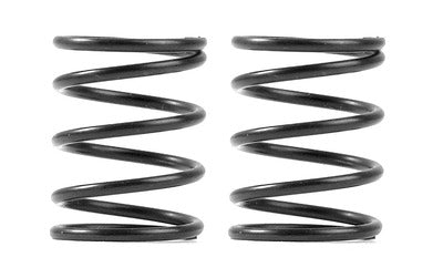 XRAY 3S SPRING-SET C=4.0 (2) - RC Hobby Product